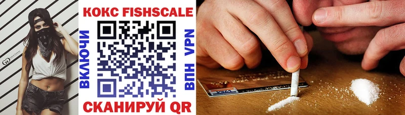 магазин    Каменск-Уральский  COCAIN FishScale 
