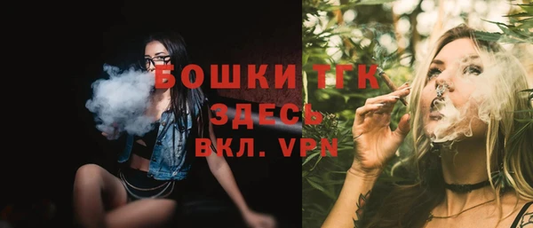 ешки Бронницы
