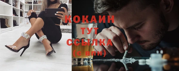ешки Бронницы