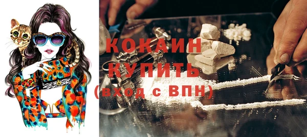 ешки Бронницы