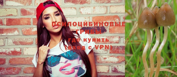 синтетический гашиш Бородино