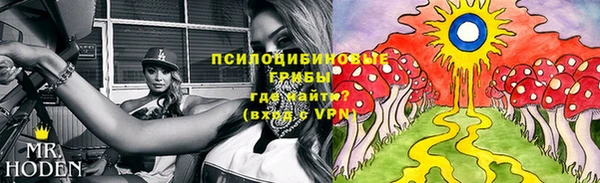 герыч Верхний Тагил